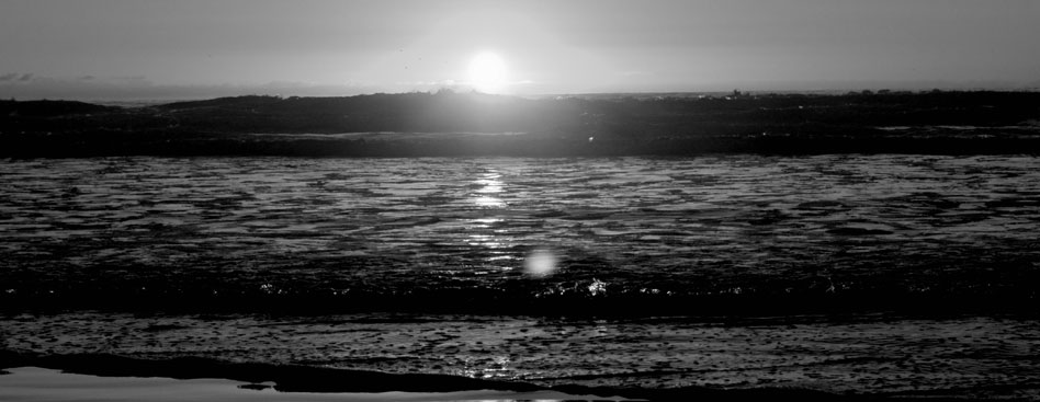 【国际英文版】全球通用的Web漏洞扫描工具