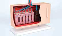 服务器攻击方式