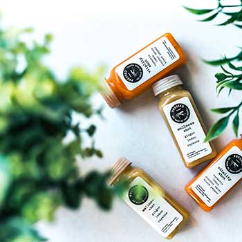 免费ddos在线攻击