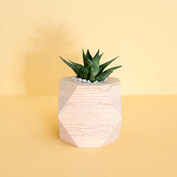 CC在线压力测试