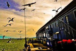 攻击网站在线工具