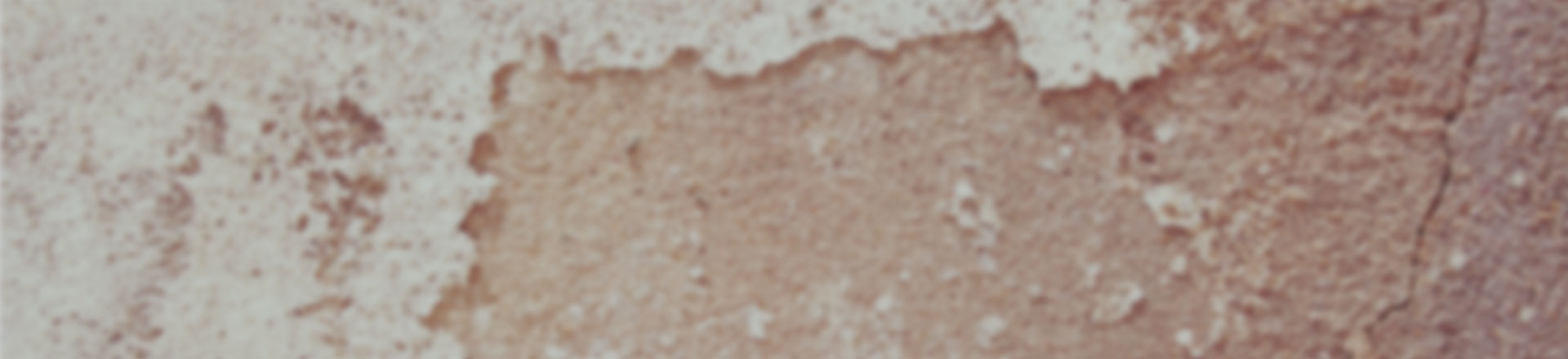 真诚服务您的网页攻击器教程