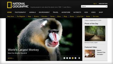 【免安装绿色版】无病毒的ddos攻击在哪能买到