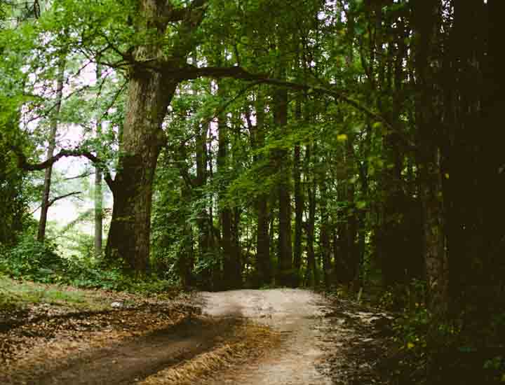 智能办公的DDOS攻击