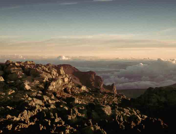 自动攻击网站工具下载