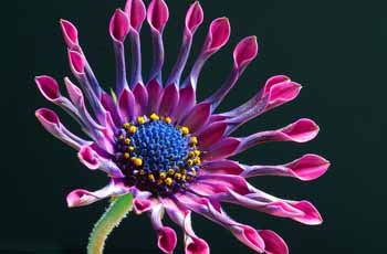 ip攻击器网页版ddos