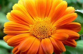 监控预警的服务器攻击软件